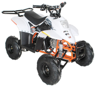 CPSC and EGL Motor Warn Consumers to Stop Using ACE Youth ATVs Due